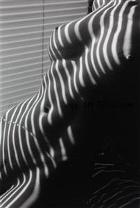 Image description is not available for 2012.073